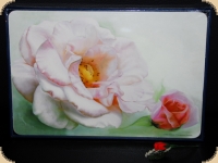 Ashdene of Australia Set: 6 Tischsets