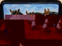 Ashdene of Australia Set: 6 Tischsets