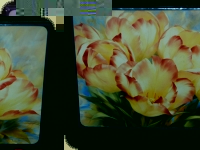 Ashdene of Australia Set: 6 Tischsets