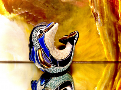 Rinconada Baby Dolphin