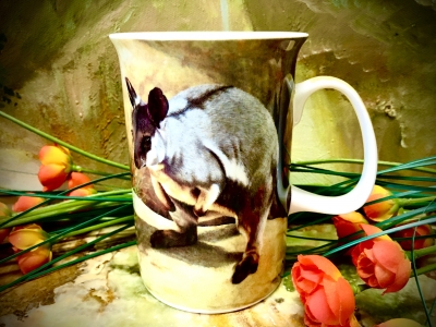 Ashdene of Australia Becher