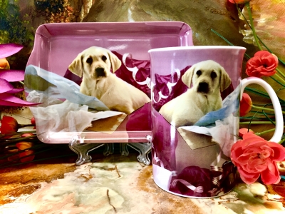 Set: Becher + Tablett Ashdene