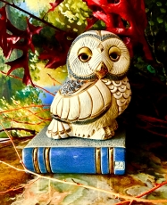 De Rosa Rinconada Eule auf Buch