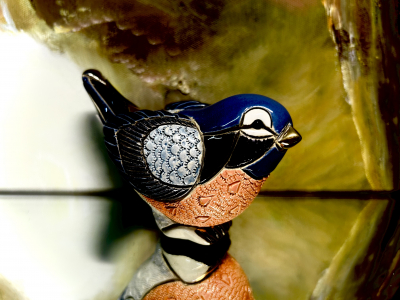 Rinconada  Rotkehlchen