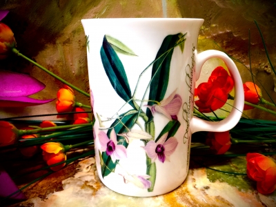 Ashdene of Australia Becher