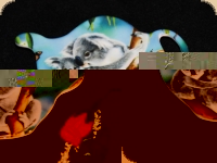 Teebeutelablage Ashdene of Australia