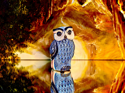 Rinconada T�rkise Eule