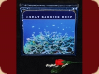 Ashdene of Australia Set: 6 Untersetzer