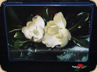 Ashdene of Australia Set: 6 Tischsets