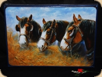 Ashdene of Australia Set: 6 Tischsets