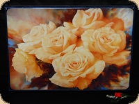 Ashdene of Australia Set: 6 Tischsets