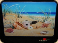 Ashdene of Australia Set: 6 Tischsets