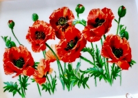 The Leonardo collection  Tablett