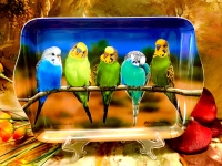 Ashdene of Australia Tablett