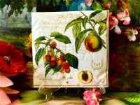 Nuova R2S S.p.A.  Set: 20 Servietten