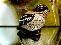 De Rosa Rinconada Goldh�hnchen