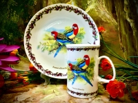 Set: Becher + Teller Ashdene