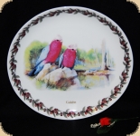 Set: Becher + Teller Ashdene