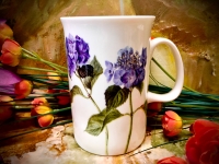 Ashdene of Australia Becher