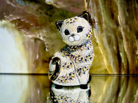 Rinconada Grey Cat