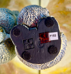 Rinconada Koala With Baby