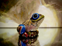 De Rosa Rinconada Waldfrosch