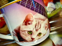 Tasse Katze