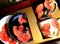 Set: 2 Tassen + 2 Untertassen