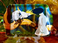 Ashdene of Australia Tablett