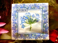 Ashdene of Australia Set: 20 Servietten