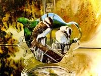 Teebeutelablage Ashdene of Australia