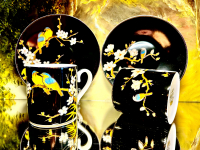 Set: 2 Tassen + 2 Untertassen