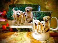 Set: Becher + Tablett Ashdene