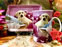 Set: Becher + Tablett Ashdene