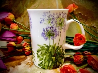 Ashdene of Australia Becher