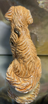 Rinconada Golden retriever