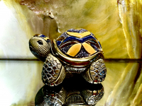 De Rosa Rinconada kleine Landschildkr�te