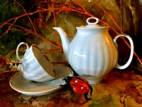 Dulevo Russland 15tlg. Teeservice