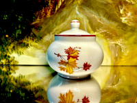 Dulevo Russland 14tlg. Teeservice