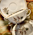 Dulevo Russland Einzelgedeck