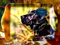 Ashdene of Australia Tablett