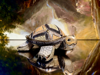 De Rosa Rinconada Landschildkr�te