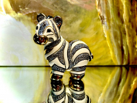 Rinconada Zebra Baby