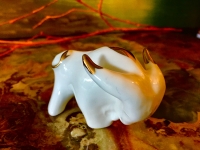 Lomonosov Porzellan Bulle