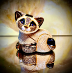 De Rosa Rinconada kleine Siamkatze