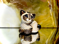 De Rosa Rinconada kleine Siamkatze