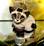 De Rosa Rinconada kleine Siamkatze