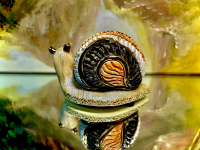 Rinconada Schnecke