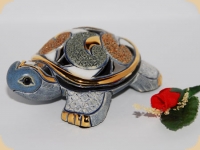 Rinconada kleine Galapagos Riesenschildkrte