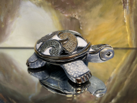 Rinconada kleine Galapagos Riesenschildkr�te